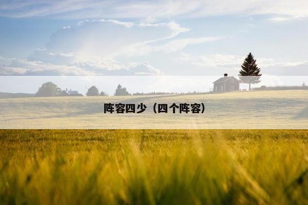 阵容四少（四个阵容）