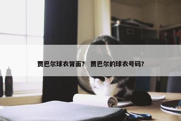 贾巴尔球衣背面？ 贾巴尔的球衣号码？