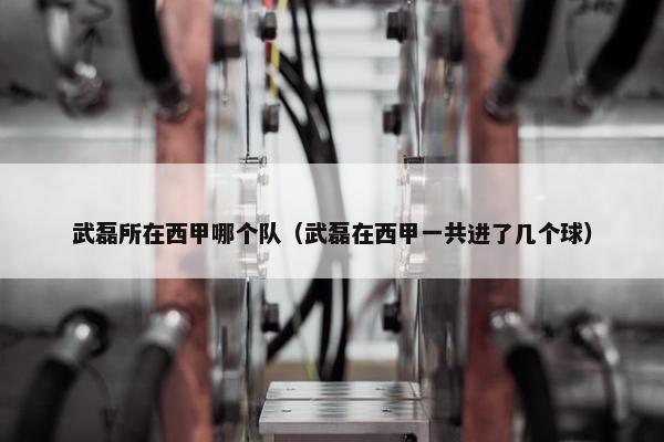 武磊所在西甲哪个队（武磊在西甲一共进了几个球）