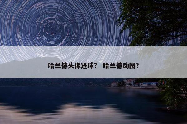 哈兰德头像进球？ 哈兰德动图？