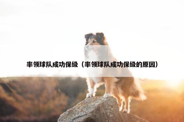 率领球队成功保级（率领球队成功保级的原因）