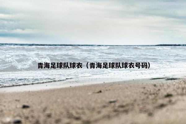 青海足球队球衣（青海足球队球衣号码）