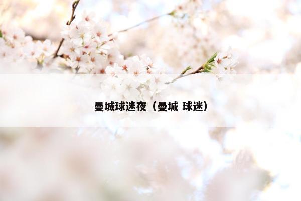 曼城球迷夜（曼城 球迷）