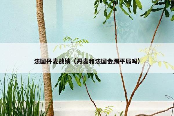 法国丹麦战绩（丹麦和法国会踢平局吗）