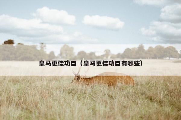 皇马更佳功臣（皇马更佳功臣有哪些）