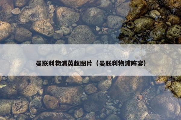 曼联利物浦英超图片（曼联利物浦阵容）