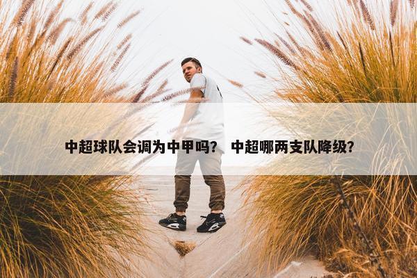 中超球队会调为中甲吗？ 中超哪两支队降级？