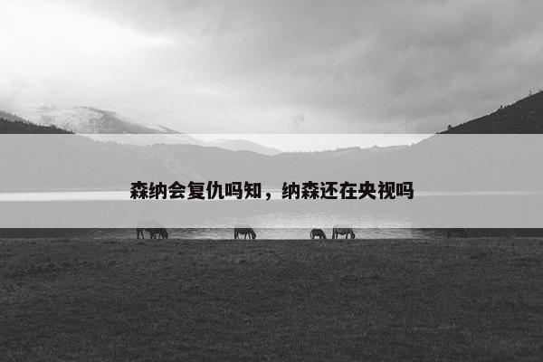 森纳会复仇吗知，纳森还在央视吗