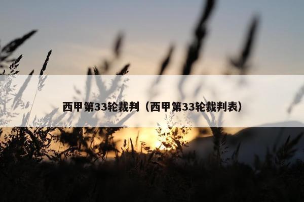 西甲第33轮裁判（西甲第33轮裁判表）