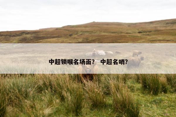 中超锁喉名场面？ 中超名哨？