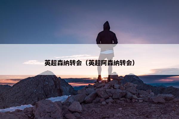英超森纳转会（英超阿森纳转会）
