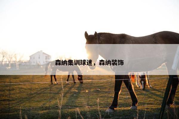 森纳集训球迷，森纳装饰