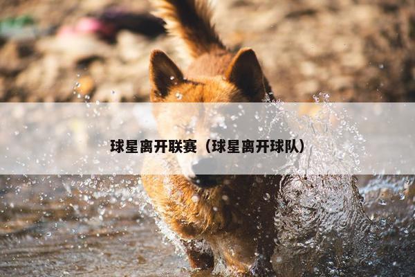 球星离开联赛（球星离开球队）