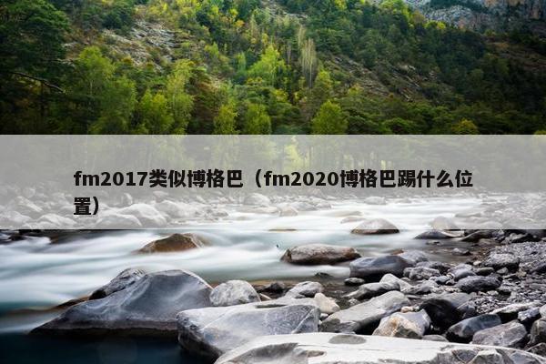 fm2017类似博格巴（fm2020博格巴踢什么位置）