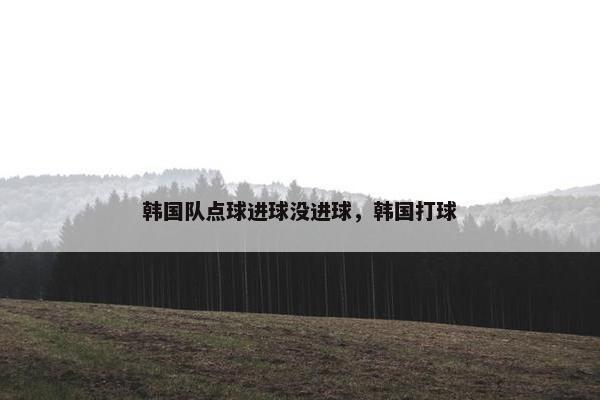 韩国队点球进球没进球，韩国打球
