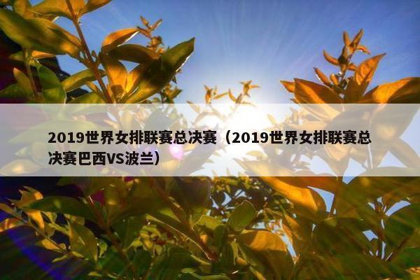2019世界女排联赛总决赛（2019世界女排联赛总决赛巴西VS波兰）