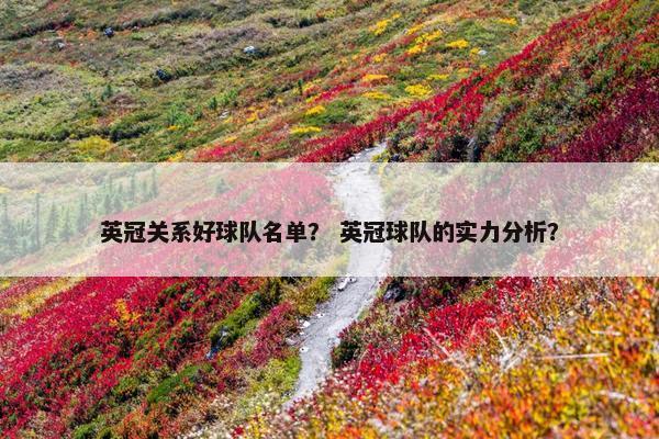 英冠关系好球队名单？ 英冠球队的实力分析？