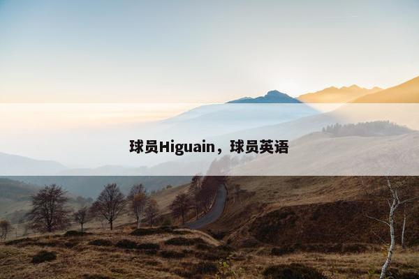 球员Higuain，球员英语