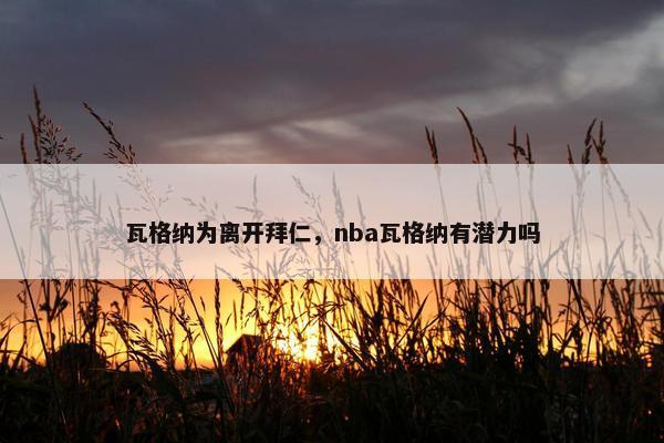 瓦格纳为离开拜仁，nba瓦格纳有潜力吗