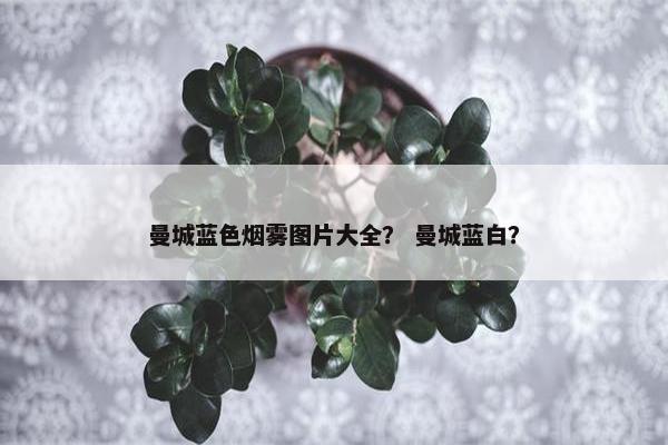 曼城蓝色烟雾图片大全？ 曼城蓝白？