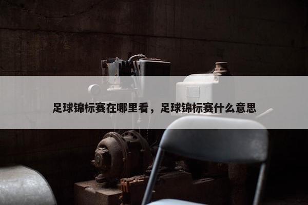 足球锦标赛在哪里看，足球锦标赛什么意思