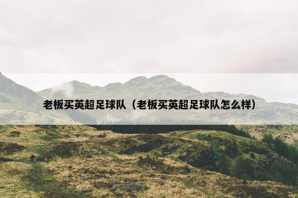 老板买英超足球队（老板买英超足球队怎么样）