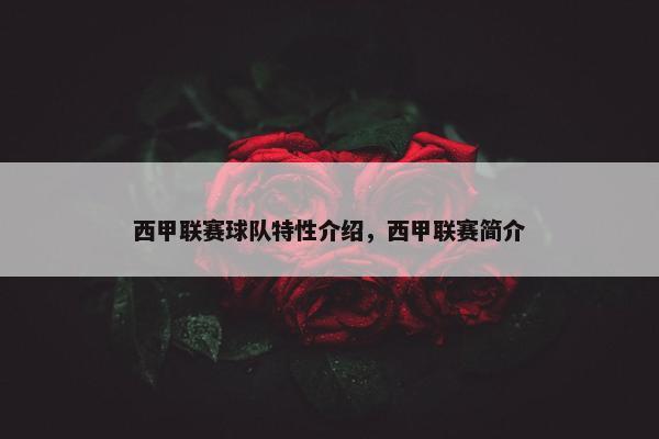 西甲联赛球队特性介绍，西甲联赛简介