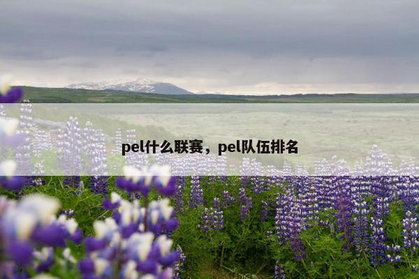 pel什么联赛，pel队伍排名