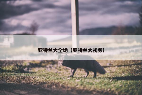 亚特兰大全场（亚特兰大视频）