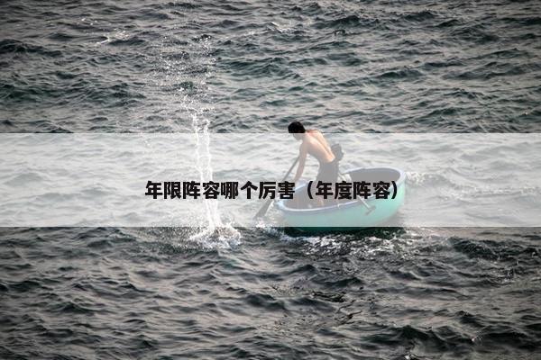 年限阵容哪个厉害（年度阵容）