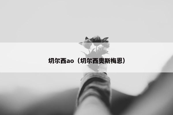 切尔西ao（切尔西奥斯梅恩）