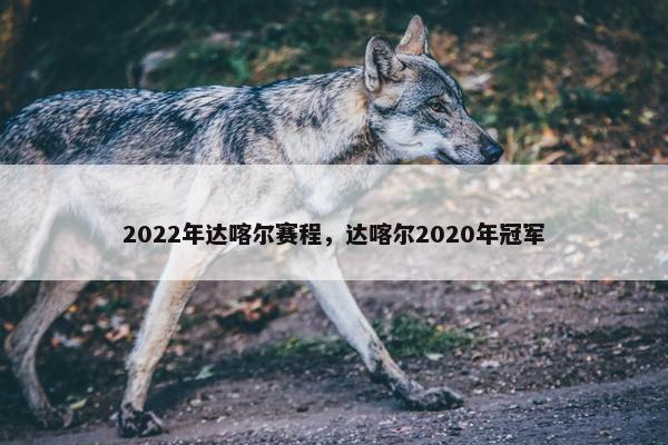 2022年达喀尔赛程，达喀尔2020年冠军