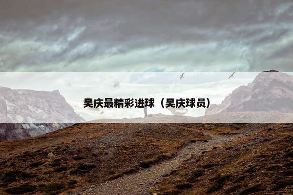 吴庆最精彩进球（吴庆球员）