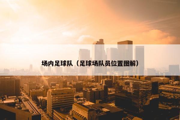 场内足球队（足球场队员位置图解）