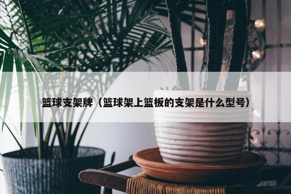 篮球支架牌（篮球架上篮板的支架是什么型号）