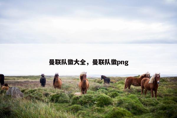 曼联队徽大全，曼联队徽png