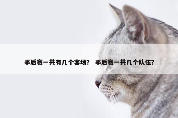 季后赛一共有几个客场？ 季后赛一共几个队伍？