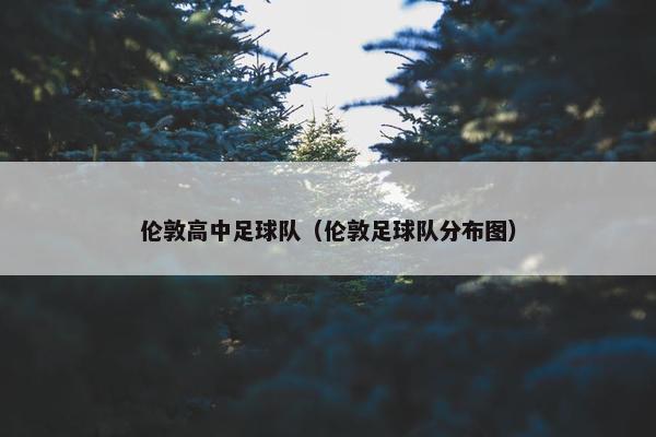 伦敦高中足球队（伦敦足球队分布图）