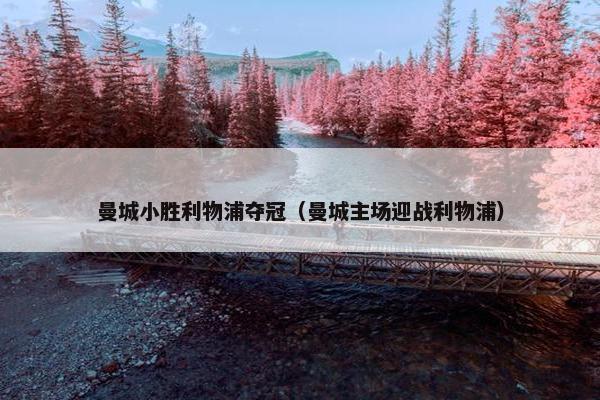 曼城小胜利物浦夺冠（曼城主场迎战利物浦）