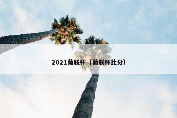 2021葡联杯（葡联杯比分）