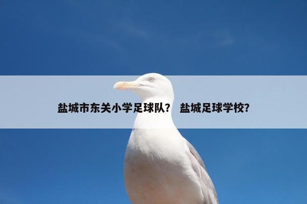 盐城市东关小学足球队? 盐城足球学校? 盐城市东关小学足球队? 盐城足球学校?
