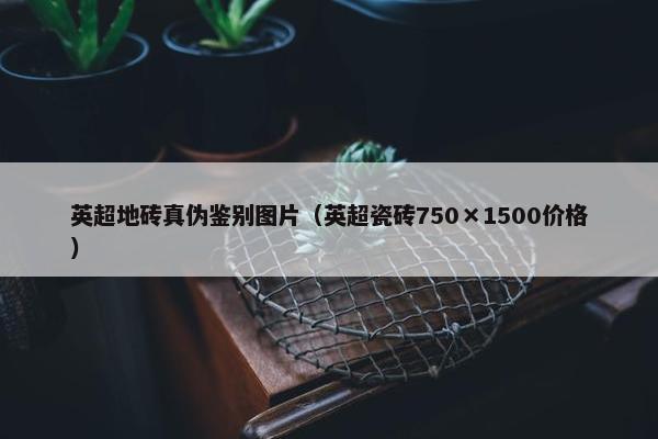 英超地砖真伪鉴别图片(英超瓷砖750×1500价格) 英超地砖真伪鉴别图片(英超瓷砖750×1500价格)
