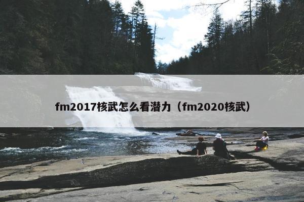 fm2017核武怎么看潜力(fm2020核武) fm2017核武怎么看潜力(fm2020核武)