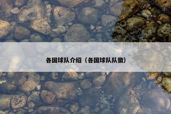 各国球队介绍(各国球队队徽) 各国球队介绍(各国球队队徽)