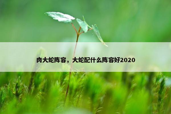 肉大蛇阵容,大蛇配什么阵容好2020 肉大蛇阵容,大蛇配什么阵容好2020