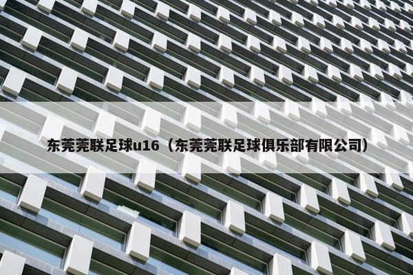 东莞莞联足球u16（东莞莞联足球俱乐部有限公司）