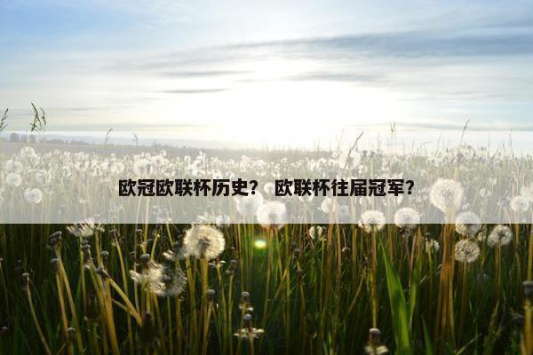 欧冠欧联杯历史? 欧联杯往届冠军? 欧冠欧联杯历史? 欧联杯往届冠军?