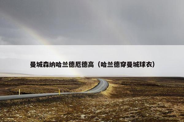 曼城森纳哈兰德厄德高（哈兰德穿曼城球衣）