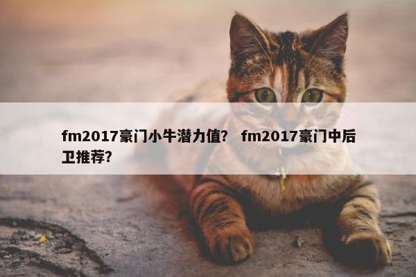 fm2017豪门小牛潜力值？ fm2017豪门中后卫推荐？