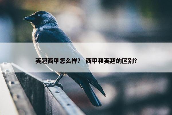 英超西甲怎么样？ 西甲和英超的区别？